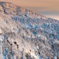 Exploring the Best New England Ski Resorts for Families