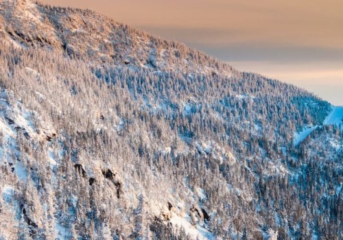 Exploring the Best New England Ski Resorts for Families