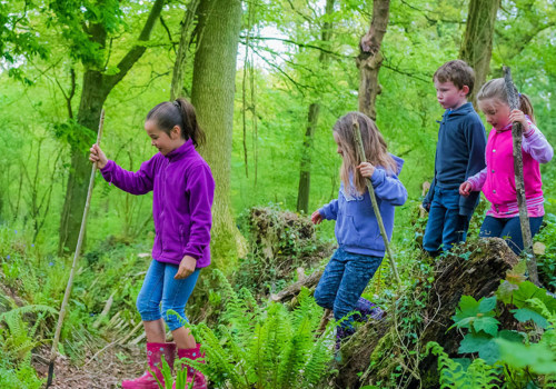 Exploring Outdoor Activities for the Whole Family