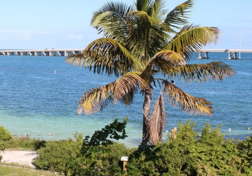 Exploring the Florida Keys: A Family Vacation Spot